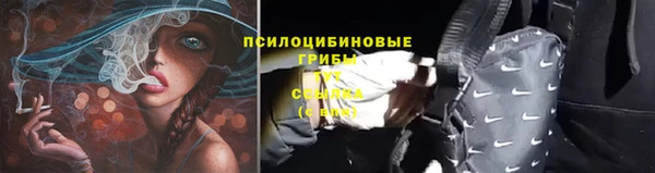 ECSTASY Балабаново