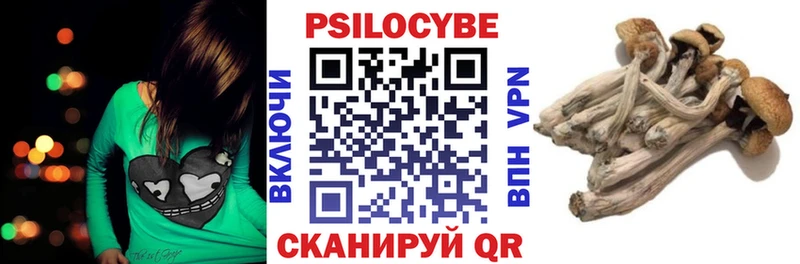 Галлюциногенные грибы мухоморы купить наркоту маркетплейс как зайти Черняховск