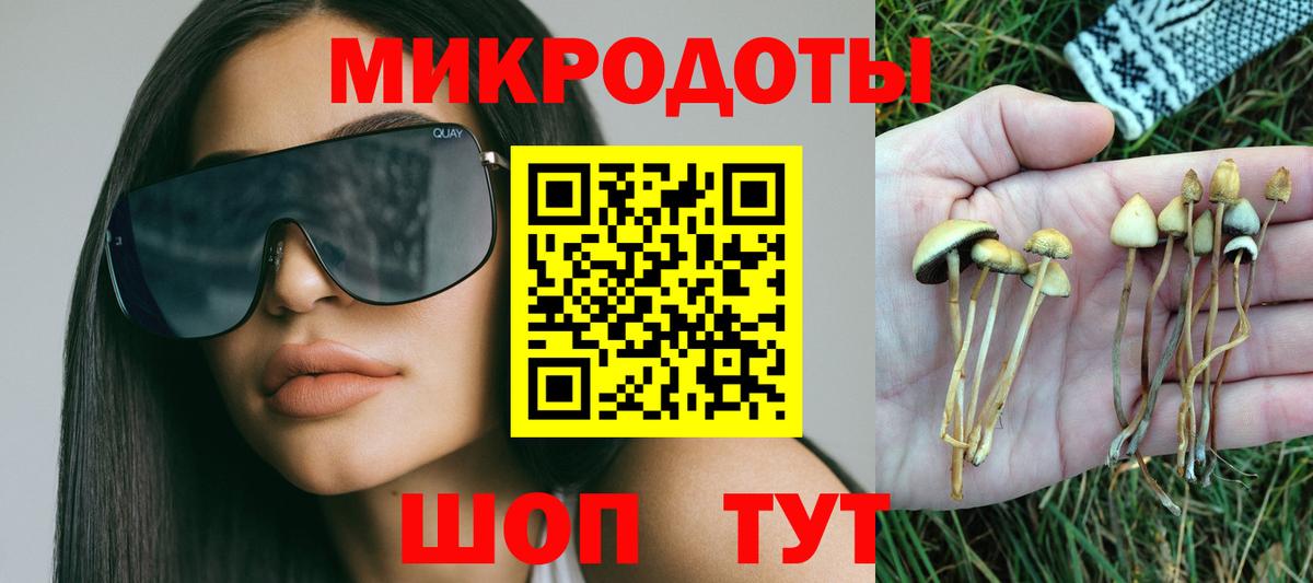 Псилоцибиновые грибы MAGIC MUSHROOMS  Вход с VPN  Черняховск 