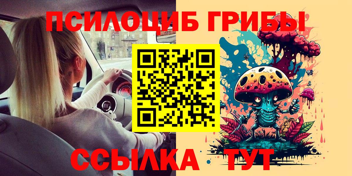 Псилоцибиновые грибы мухоморы Черняховск