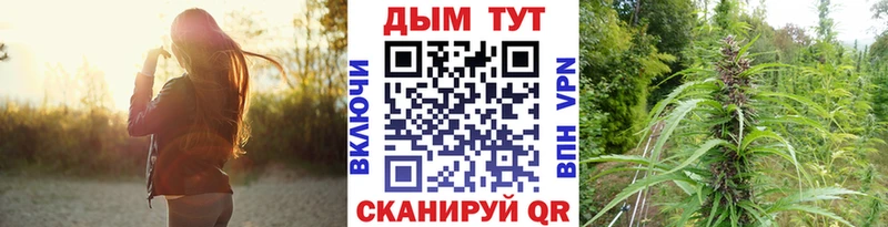 Каннабис план Черняховск